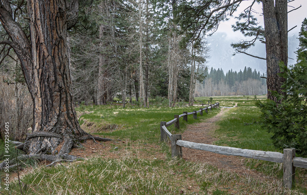 Yosemite National Park, located in western Sierra Nevada mountains, northern California, USA Yosemite National Park, located in western Sierra Nevada mountains, northern California, USA