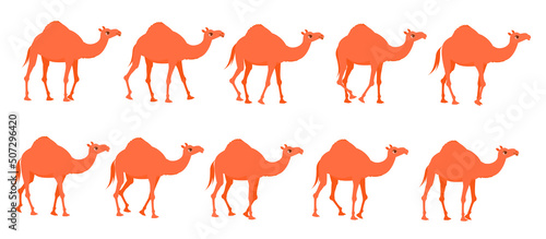 Camel Animation. Sequences for Motion Design.