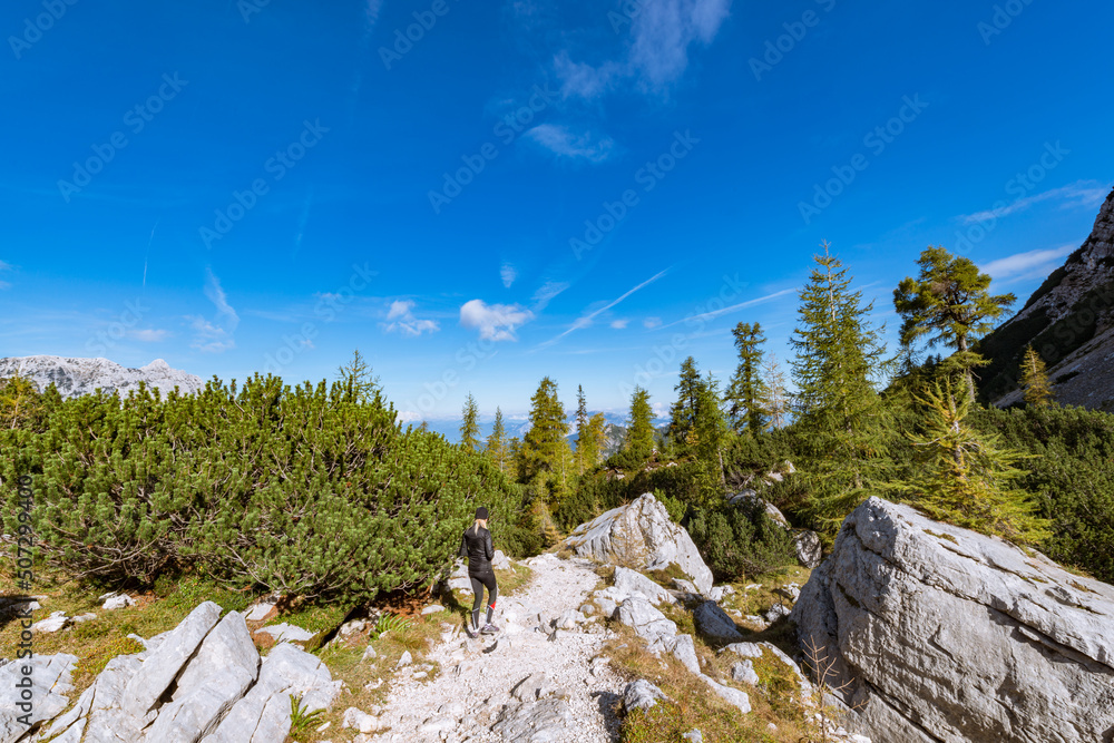 Hiking in the beautiful forest of the Alps. This is a path from mountain pass Vrsic to Slemenova spica with the look on Jalovec mountain.