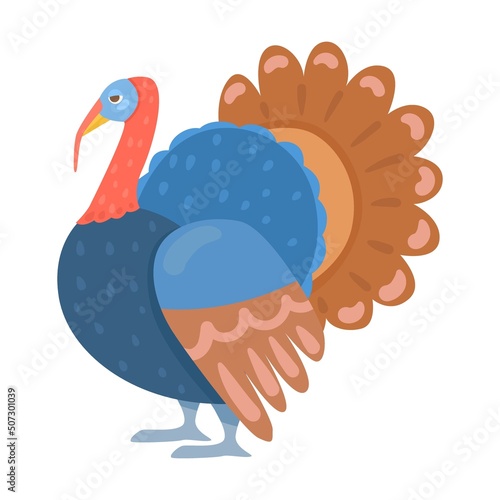 Bright turkey with a wide tail. Different farm birds cartoon illustration isolated on white background. Domestic animal