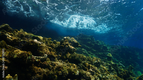 Underwater art with waves and rays of light over the coral reef.