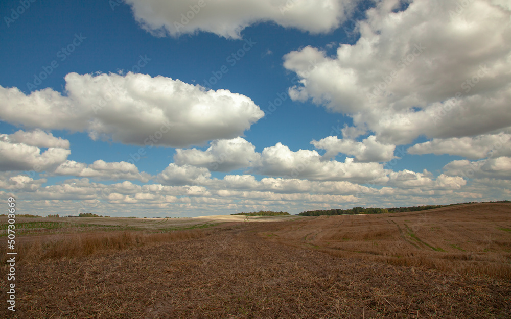 Farm field landscape after harvest Farm field landscape after harvest