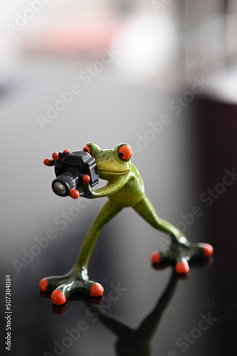 Frosch mit Kamera