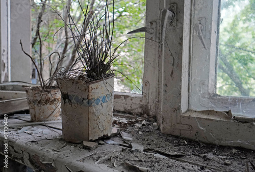 old flower top in a school in Pripyat, Chernobyl Nuclear Power Plant Zone of Alienation © Grzegorz