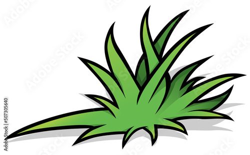 Bunch of Green Grass - Colo...
