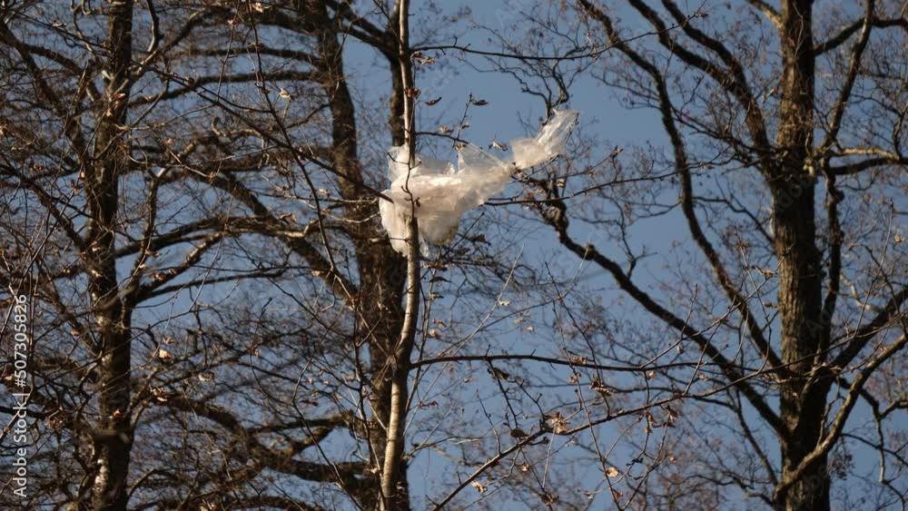 Plastic Bag Stuck in Tree, Plastic Pollution and Plastic Waste in Forest Concept Plastic Bag Stuck in Tree, Plastic Pollution and Plastic Waste in Forest Concept