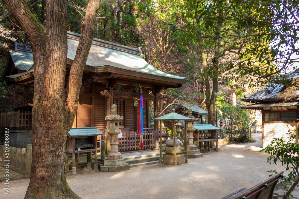 Fototapeta premium 静かな森の中にたたずむ木造の古い仏堂