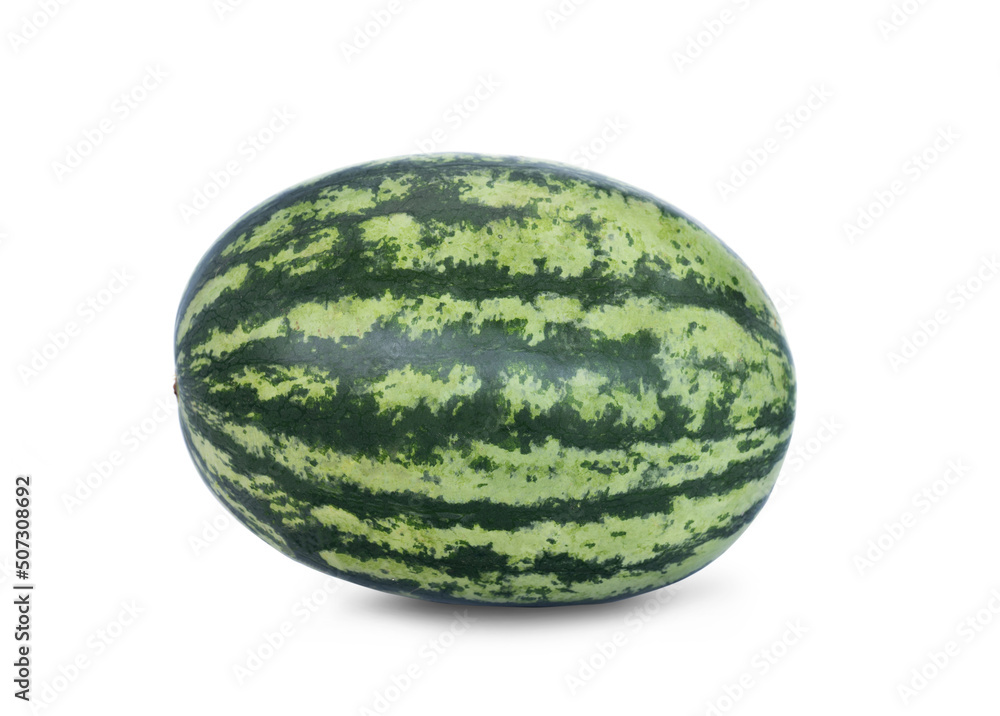fresh watermelon isolated on the white background . fresh watermelon isolated on the white background .