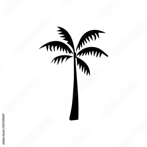 silhouette palm tree