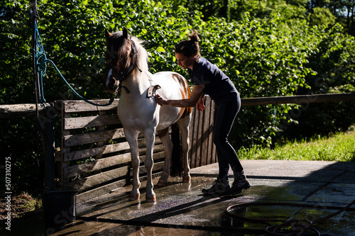 Horse grooming.  Female worker on a ranch cleaning pony outdoors with sweat scraper after washing.