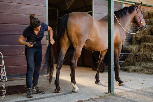Foto Farm woman combing horse tail in stable on ranch