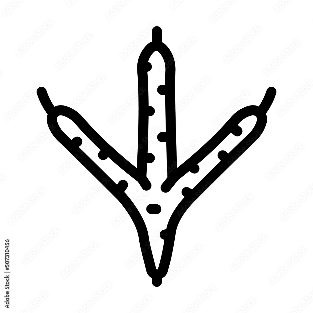chicken hoof print line icon vector. chicken hoof print sign. isolated contour symbol black illustration chicken hoof print line icon vector. chicken hoof print sign. isolated contour symbol black illustration