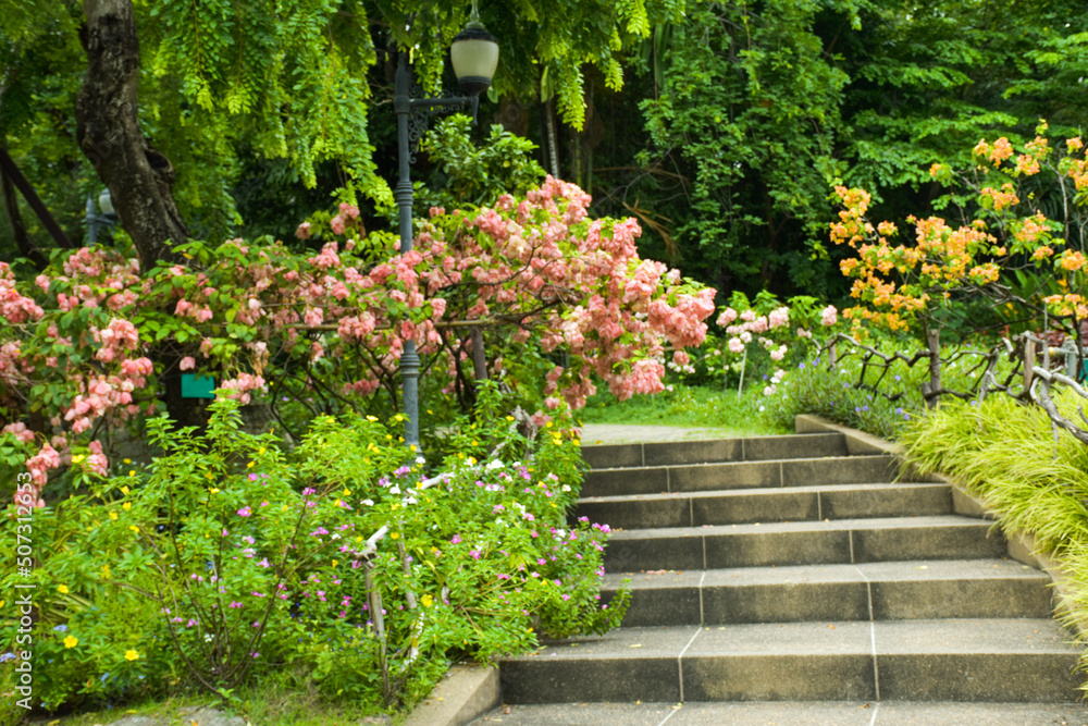 Scenery of trees, flowers and stairs in Chatuchak Park, Bangkok, Thailand.