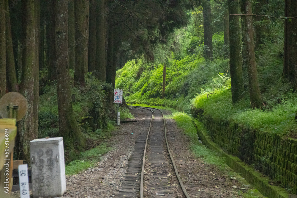 The lonely railroad toward profound forest with glimmer light The lonely railroad toward profound forest with glimmer light