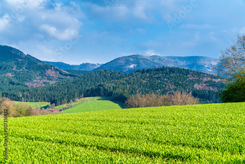 Germany, Schwarzwald nature landscape panorama view with snow covered mountain tops in springtime at sunset, a beautiful tourism destination for hiking