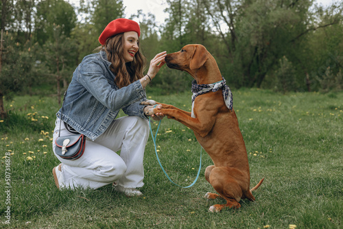 Side view of female owner training Rhodesian Ridgeback dog and giving treat on green meadow in summer park 