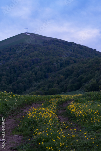 Trail in the mountains photo