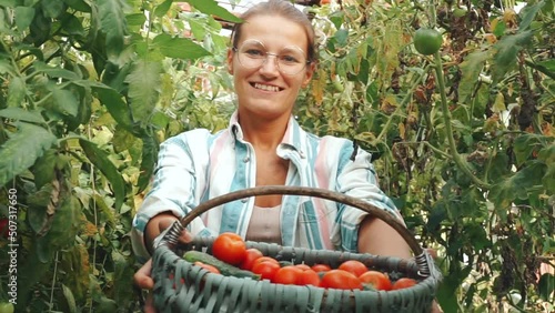 Happy Smiling Woman agriculture woman worker hold ripe red cherry tomatoes in greenhouse on eco local farm.  Organic Farming, home hobby gardening concept. Seasonal autumn harvesting. Small business