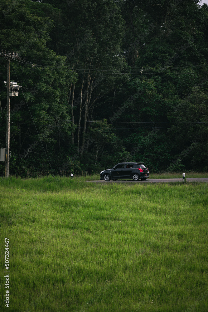 people driving on the road In the beautiful natural forest on both sides of the road
On Khao Yai National Park in Thailand 16-05-2022 people driving on the road In the beautiful natural forest on both sides of the road
On Khao Yai National Park in Thailand 16-05-2022