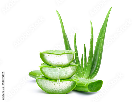 Aloe vera sliced with gel dripping isolated on white background. photo