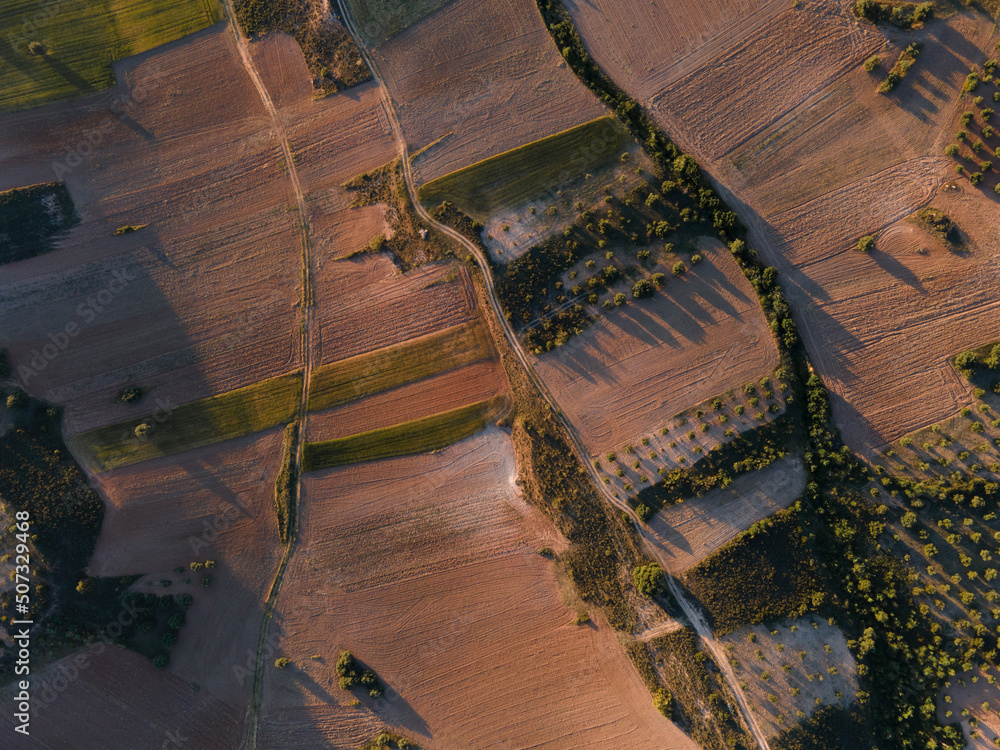 Zenithal drone view of mosaic crop mosaic of olive groves in extensive and intensive agriculture Zenithal drone view of mosaic crop mosaic of olive groves in extensive and intensive agriculture