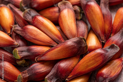 Typical South Brazil winter food. Araucária seed in natura.