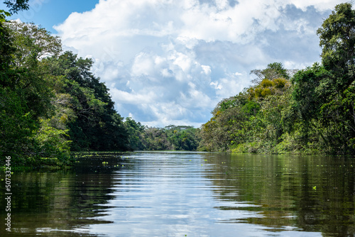 Amazon Rainforest Riverbank. Sailing down river Yanayacu at the Amazon jungle, near Iquitos, Peru. South America.  photo