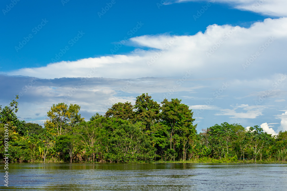 Amazon Rainforest Riverbank. Sailing down river Yanayacu at the Amazon jungle, near Iquitos, Peru. South America. Amazon Rainforest Riverbank. Sailing down river Yanayacu at the Amazon jungle, near Iquitos, Peru. South America.