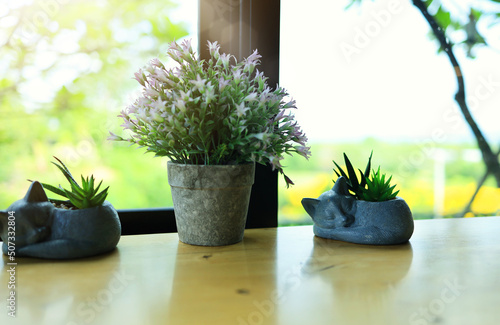 A small plant pot is placed on a wooden table by the glass window, giving the interior a fresh and inviting look.