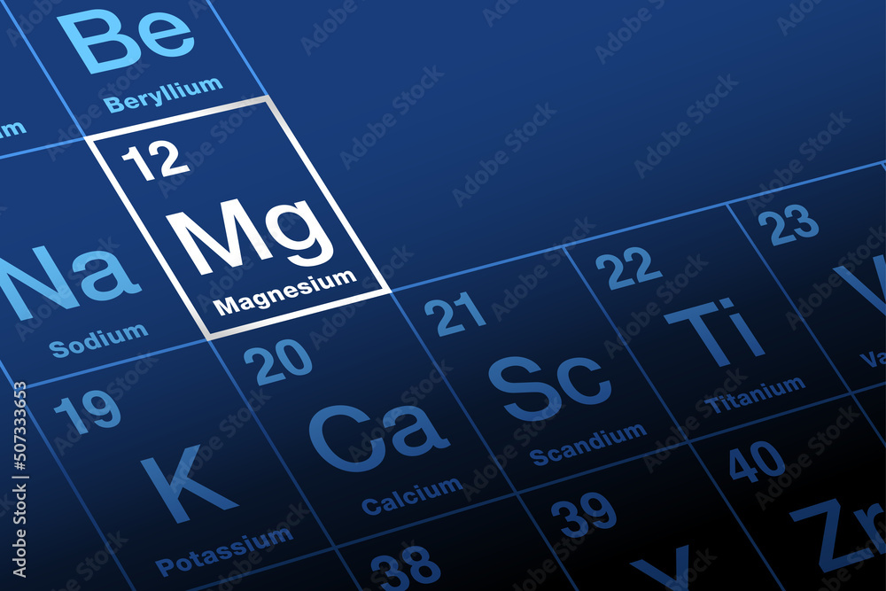 Magnesium on periodic table of the elements. Alkaline earth metal with symbol Mg and atomic number 12. Eleventh most abundant element in the human body and essential to all cells and some 300 enzymes. - obrazy, fototapety, plakaty 