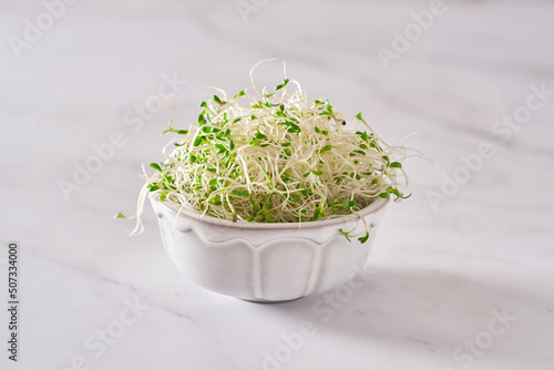 Sprouted alfalfa seeds on a marble table. photo