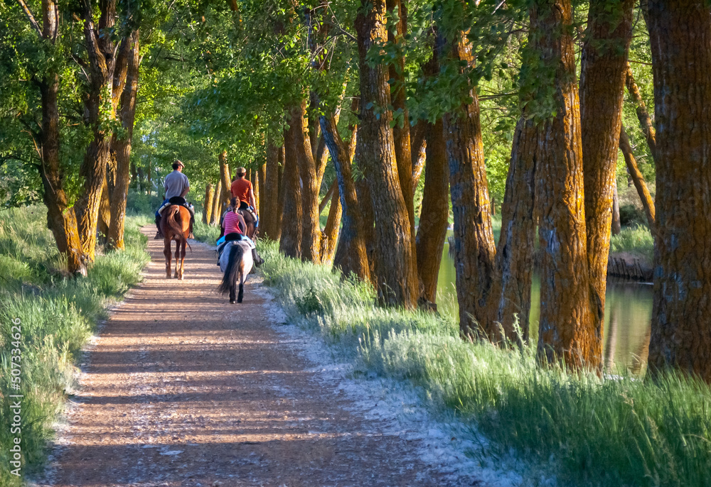 a family rides on horseback along the banks of an irrigation channel a family rides on horseback along the banks of an irrigation channel