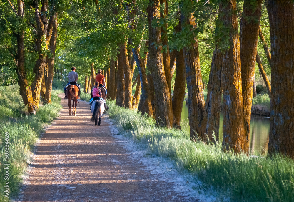 a family rides on horseback along the banks of an irrigation channel