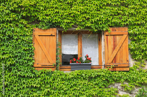 Canvas-taulu hiedra ventana fachada cubrir pueblo país vasco 4M0A8212-as22