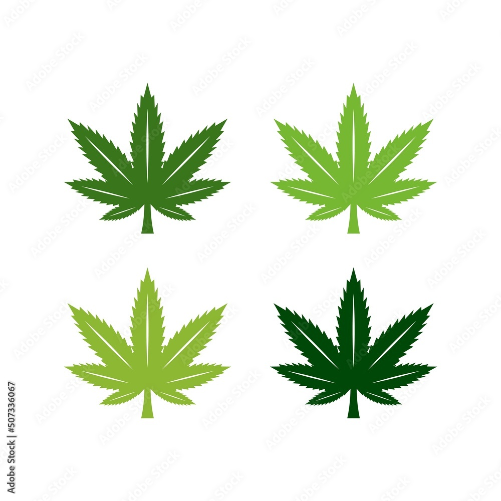 Cannabis marijuana hemp leaf vector template