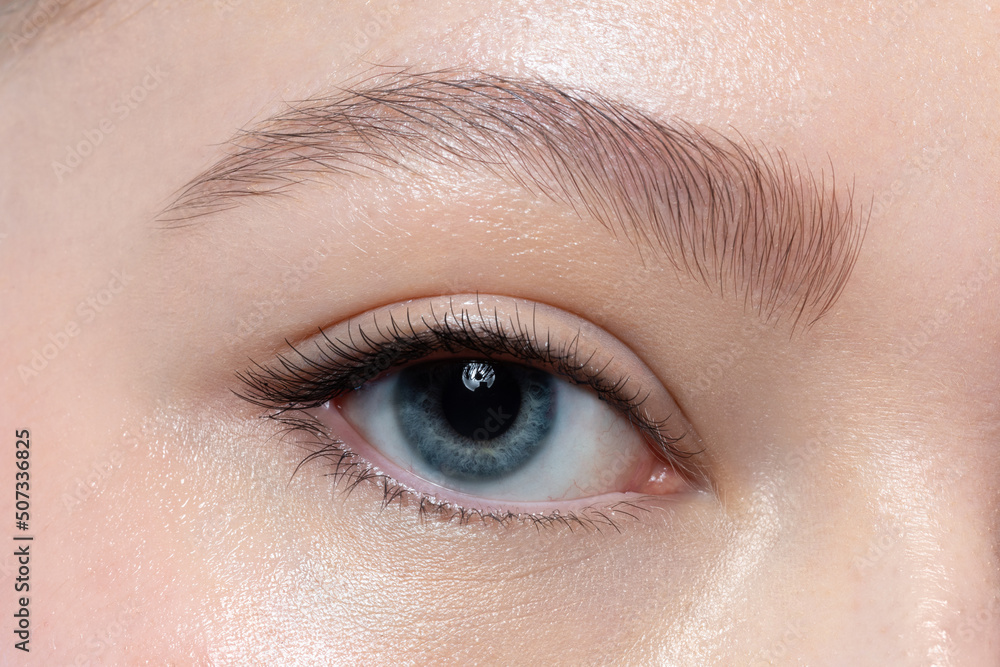 Obraz premium Close-up of make-up blue eye with beautiful eyebrow shape