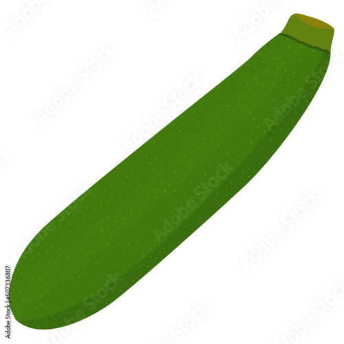 green zucchini isolated on white background, flat design vector illustration