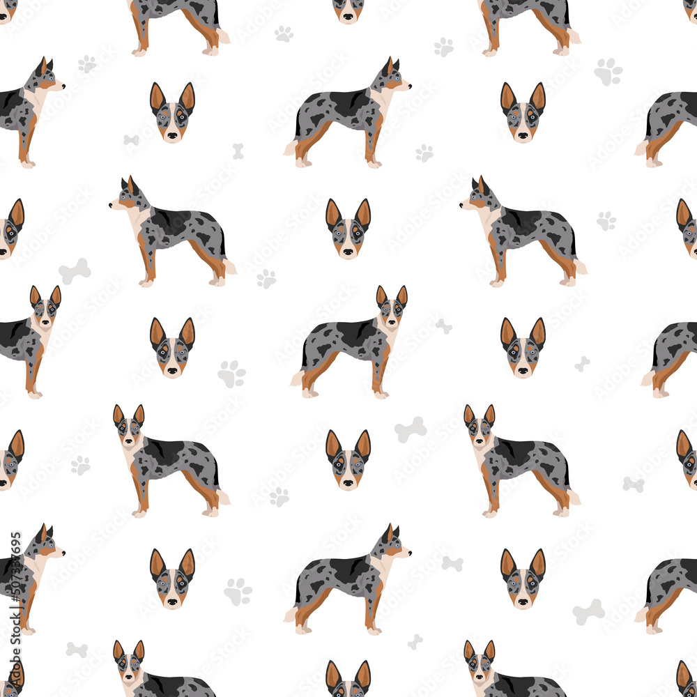 Australian koolie seamless pattern. Different poses, coat colors set