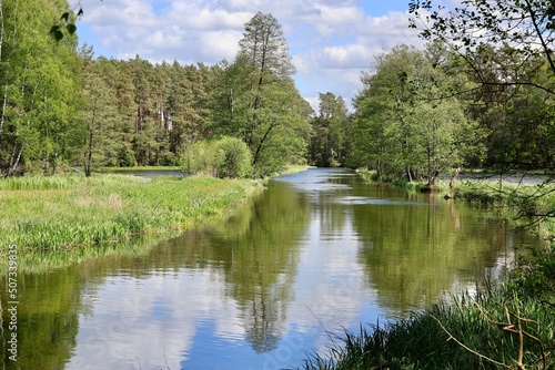 river in the forest