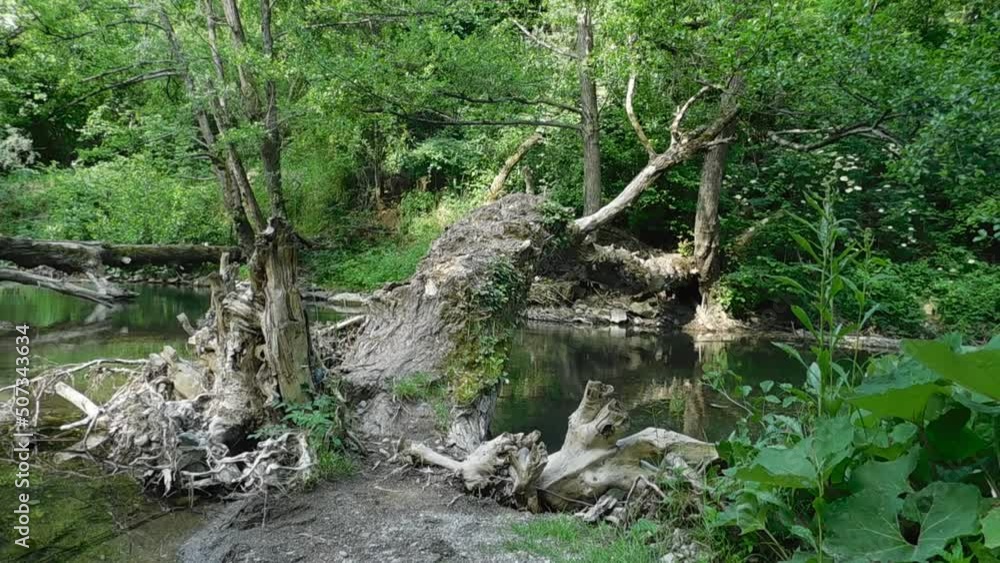 The tree fell across the river The tree fell across the river