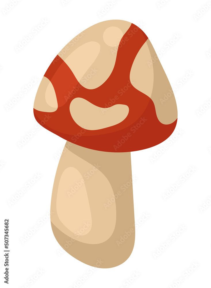 Obraz premium fungus autumn season