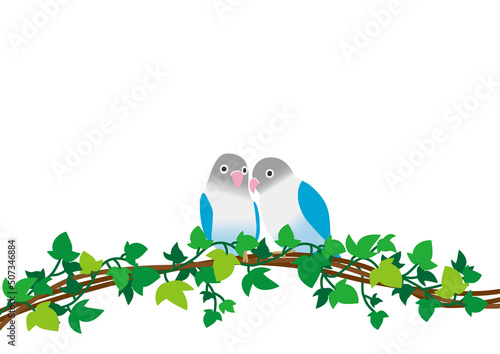 アイビーの上で寄り添うインコ