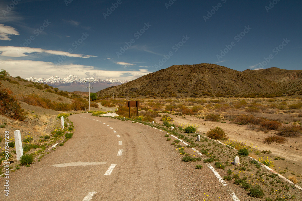 View of the empty road across the desert and yellow grassland. View of the hills and Andes cordillera under a deep blue sky. 