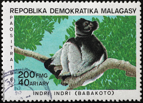 Indri, the biggest lemur of Madagascar on stamp photo