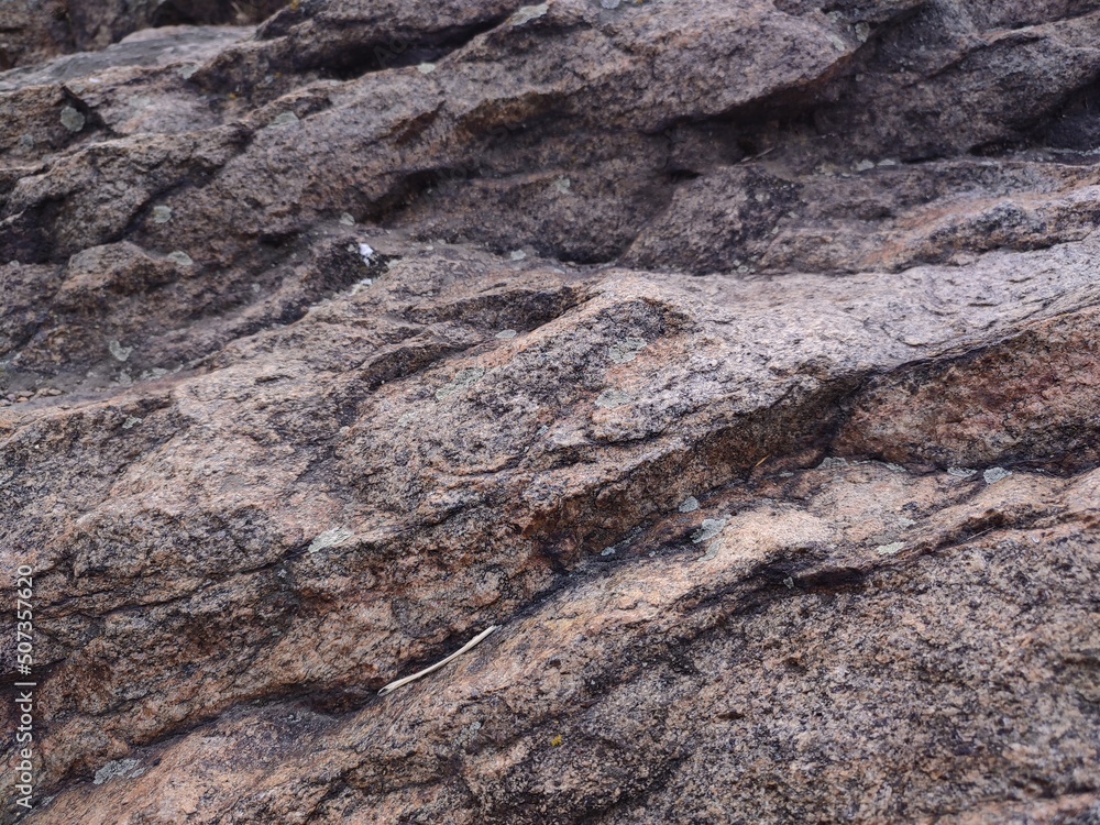 texture of the stone texture of the stone