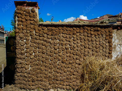 Wall with drying yak manure in Gyantse, Tibet
 photo
