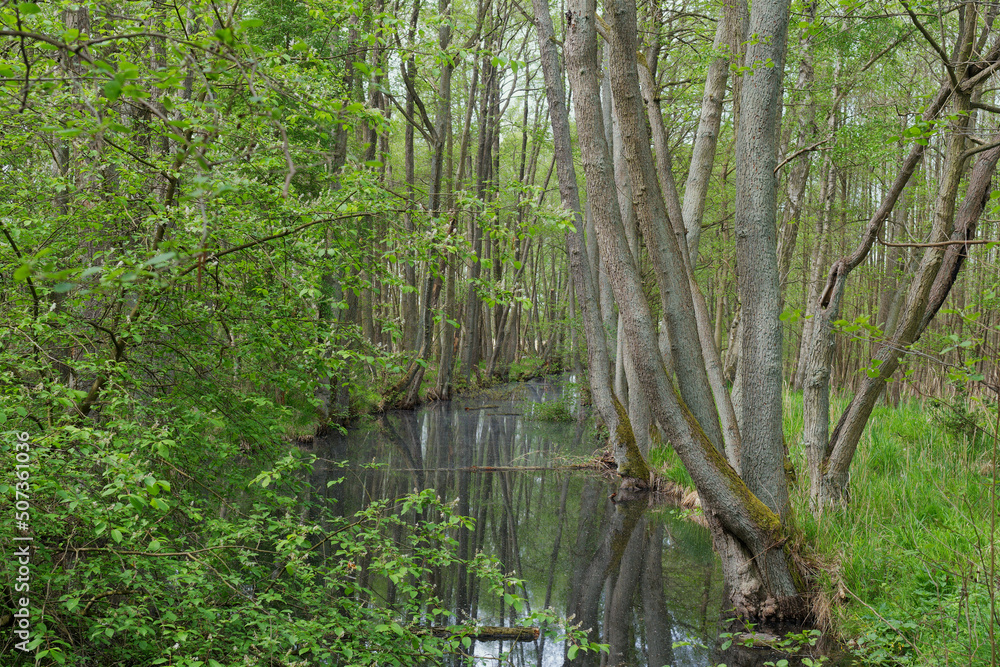Müritz Nationalpark Müritz Nationalpark