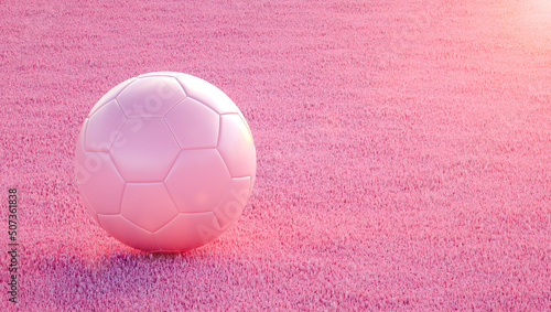 3D Illustration. Pink soccer ball on pink grass. Female Football photo