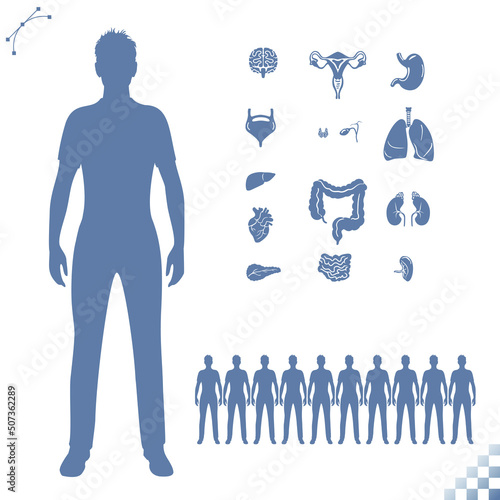 androgynous human figure full body torso. Human internal organs body icons and symbols, brain, gallbladder, heart, lungs, digestive system, etc.