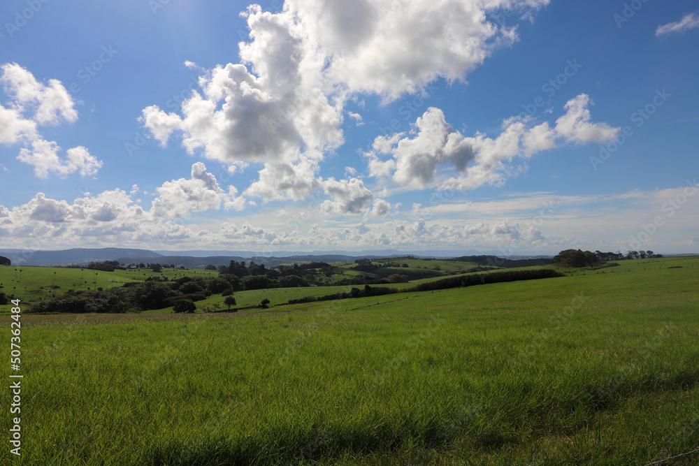 Obraz premium Rural country landscape, nature photography